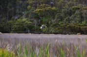 <영상앨범 산> 쥬라기 공원을 닮은 원시림을 지나 해골바위로 호주 ‘윌선스 프로몬토리’로 떠나는 모험