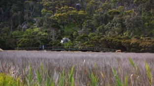 <영상앨범 산> 쥬라기 공원을 닮은 원시림을 지나 해골바위로 호주 ‘윌선스 프로몬토리’로 떠나는 모험