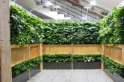 공기정화식물 등 벽면에 설치하는‘그린스쿨·오피스’ 조성사업 완료