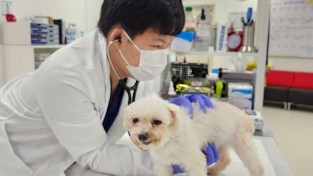 경기도, 25일부터 진료비용 게시 등 동물병원 운영실태 일제 점검